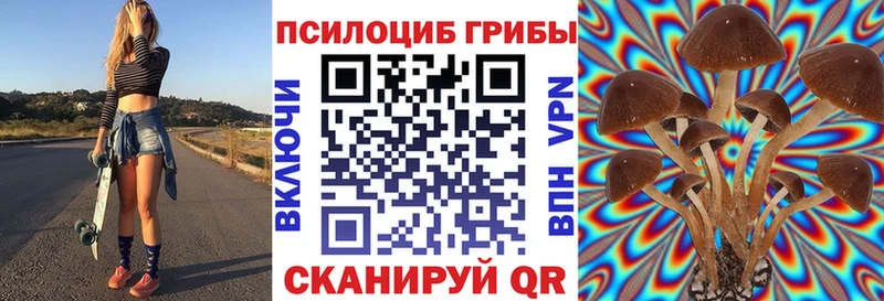 даркнет сайт  Заводоуковск  Галлюциногенные грибы Psilocybe 