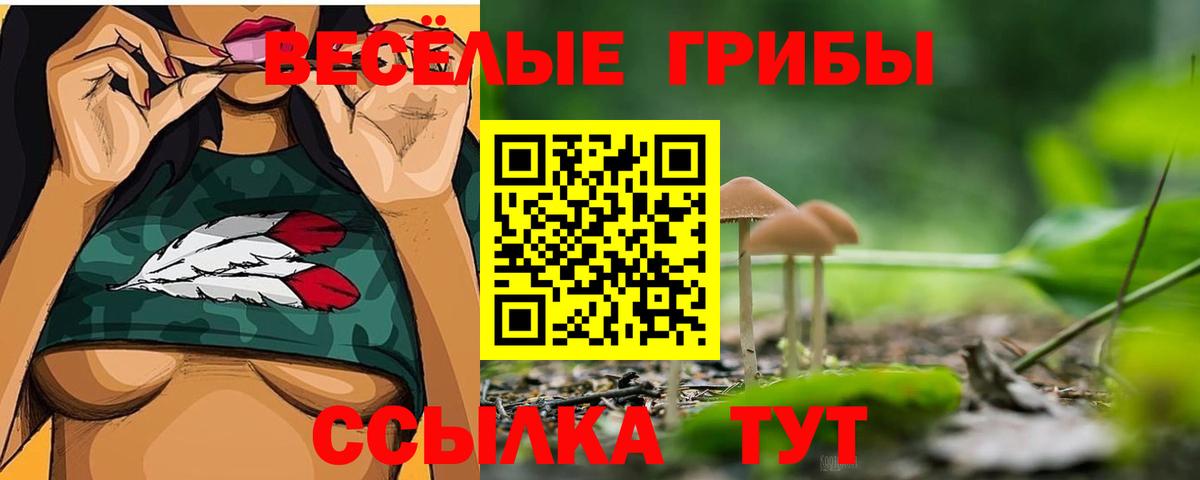 Псилоцибиновые грибы Psilocybe  Вход с VPN  Заводоуковск 
